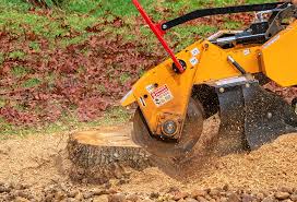 Reliable Westview, FL Tree Removal Solutions
