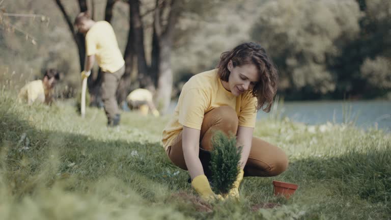 Best Pest Control for Lawns  in Westview, FL