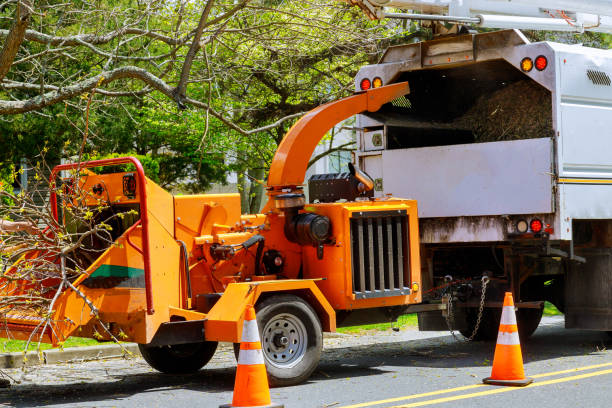Best Firewood Processing and Delivery  in Westview, FL